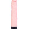 Multi-Speed Vibrator